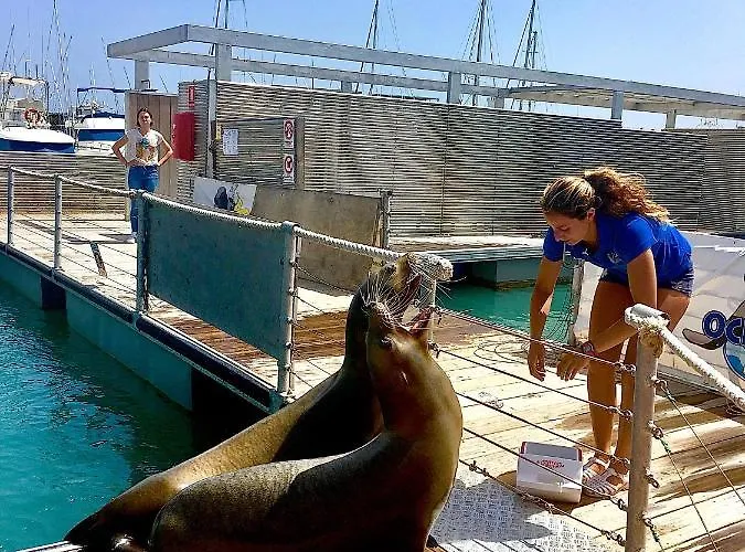 Appartement Montecastillo E8 Caleta De Fuste